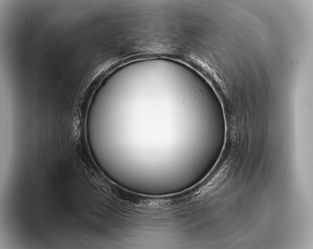 X0000095921163200801251024