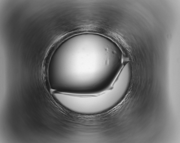 X0000095921164200801251024