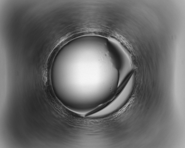 X0000095921165200801251024