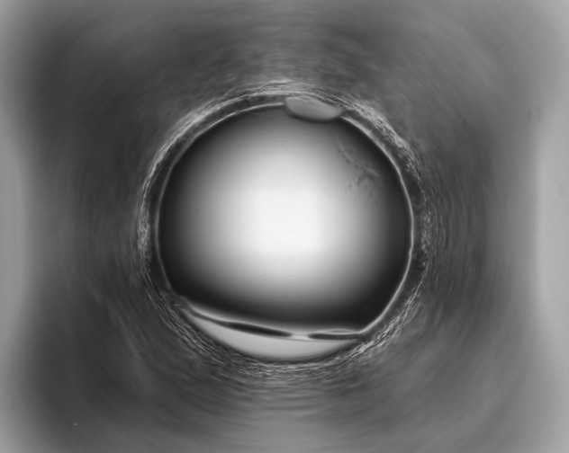 X0000095921167200801251024