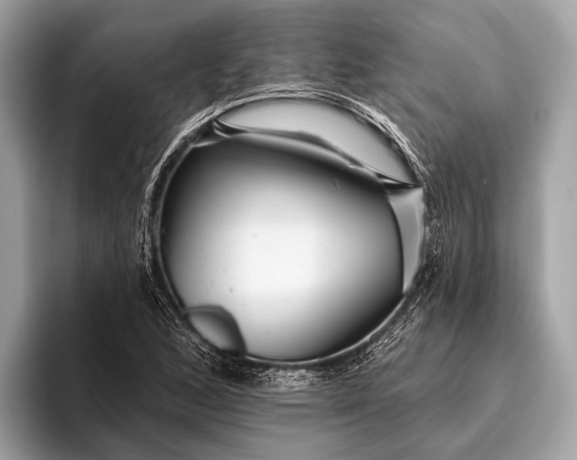 X0000095921168200801251024