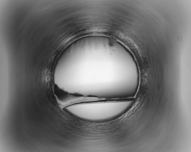 X0000095921169200801251024