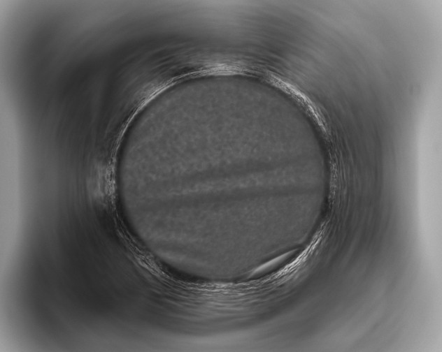 X0000095921170200801251024