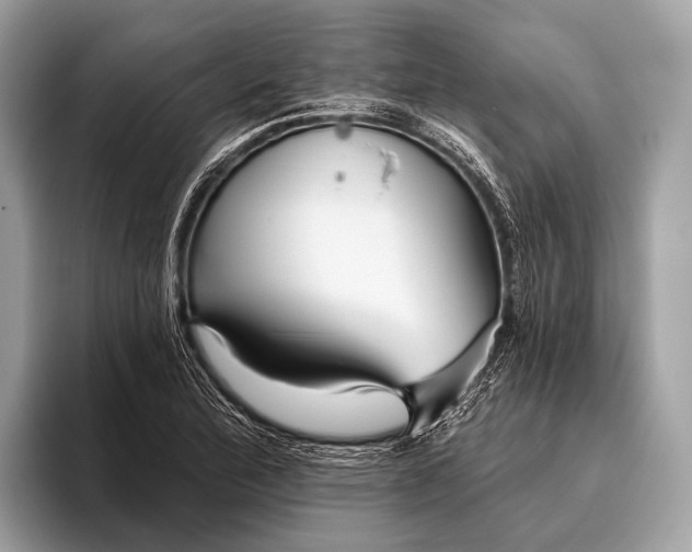 X0000095921172200801251024