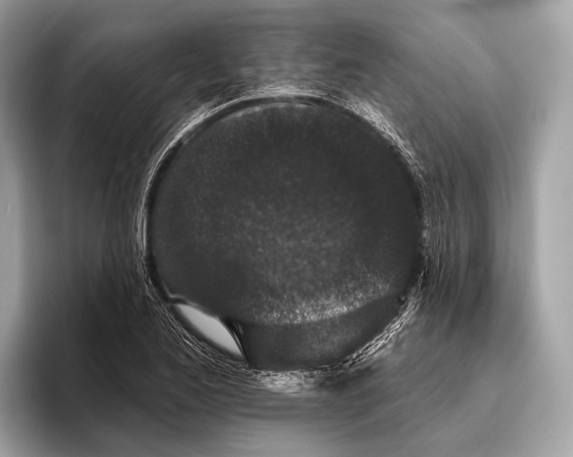 X0000095921173200801251024