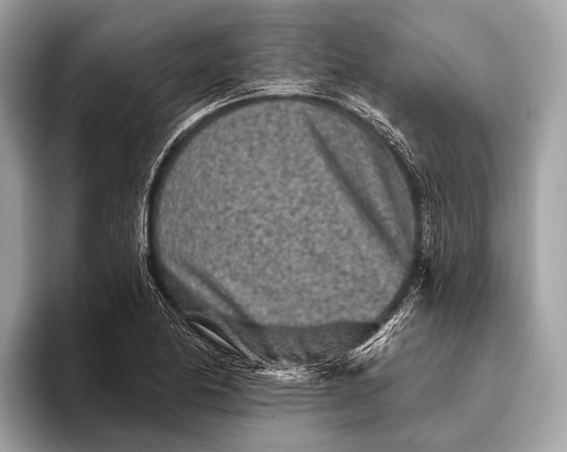 X0000095921174200801251024