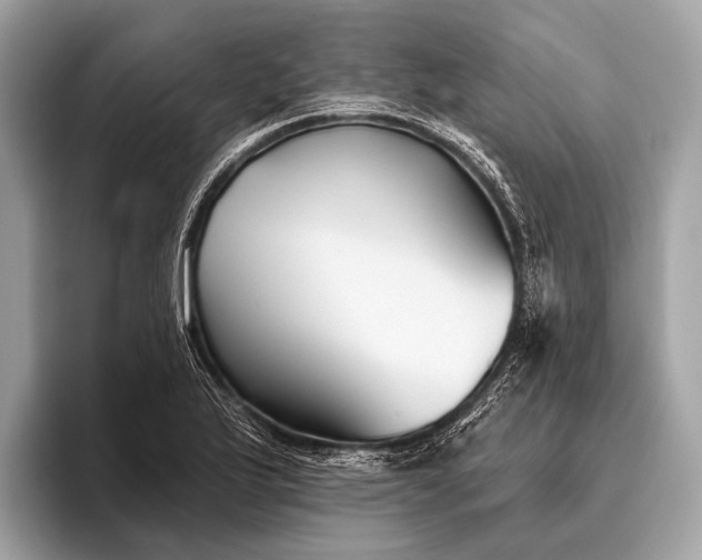 X0000095921175200801251024