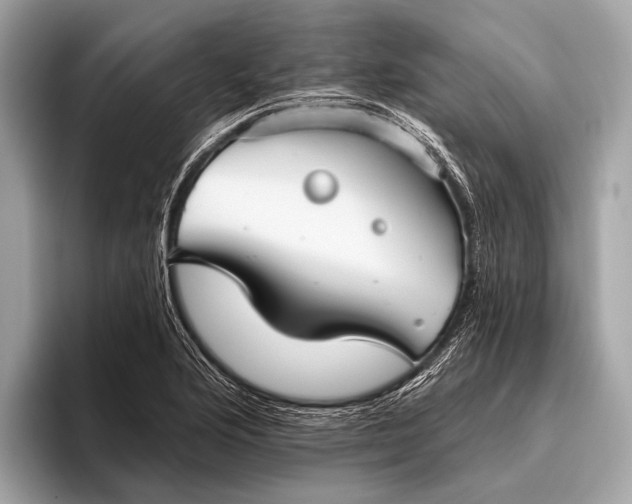 X0000095921176200801251024