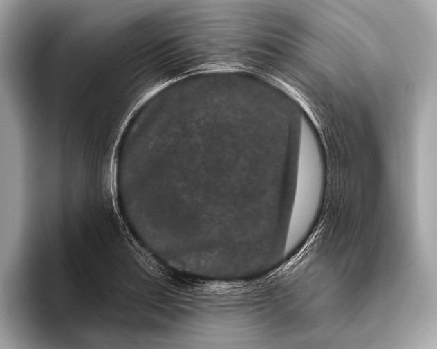 X0000095921179200801251024