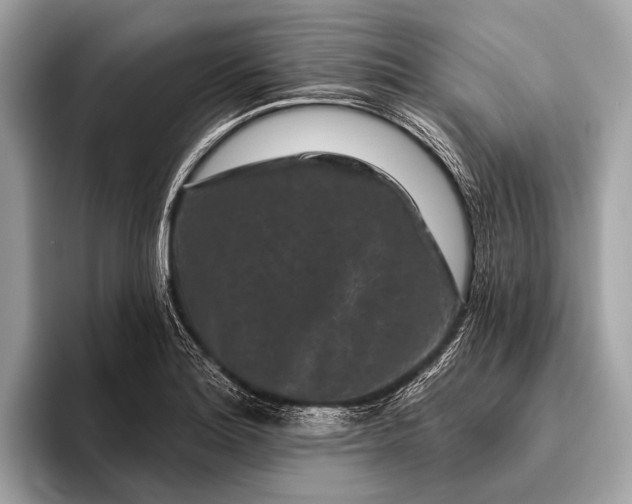 X0000095921180200801251024