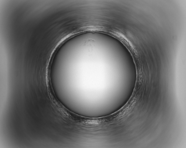 X0000095921182200801251024