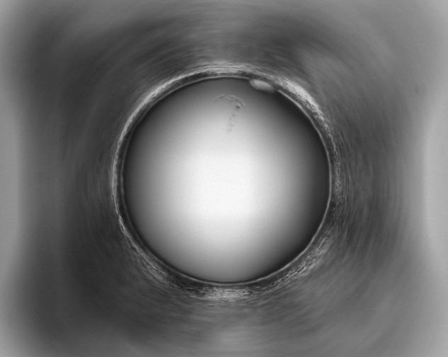 X0000095921183200801251024