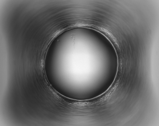 X0000095921185200801251024