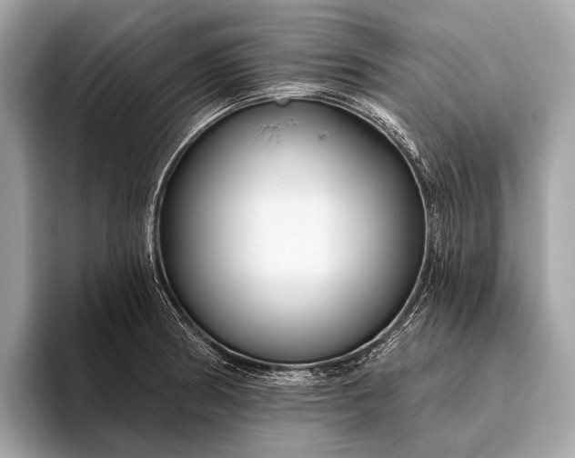 X0000095921186200801251024