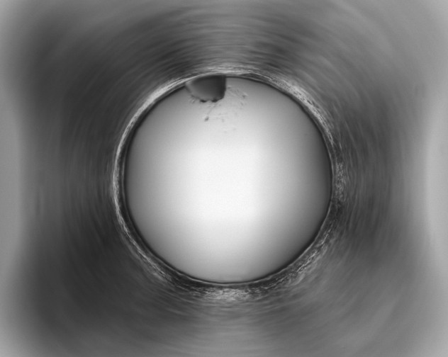 X0000095921187200801251024