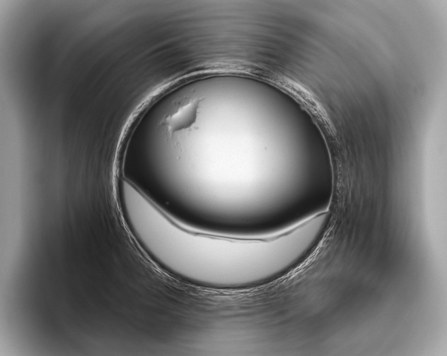 X0000095921188200801251024