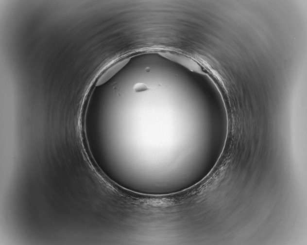 X0000095921189200801251024