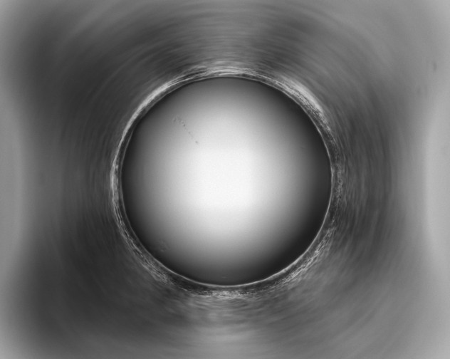 X0000095921190200801251024