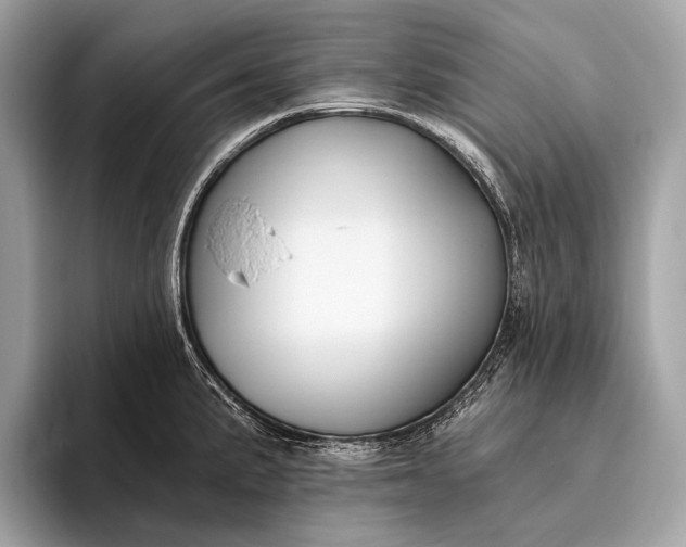 X0000095921191200801251024