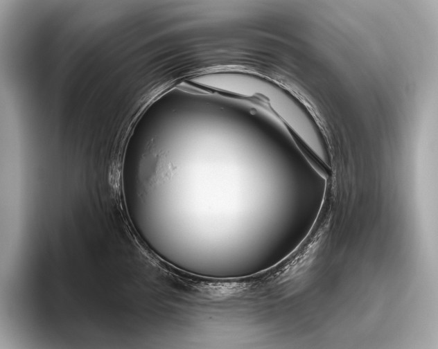 X0000095921193200801251024