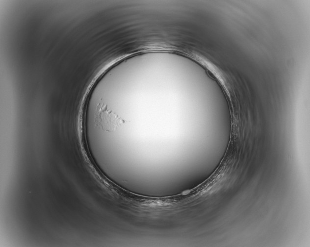 X0000095921195200801251023