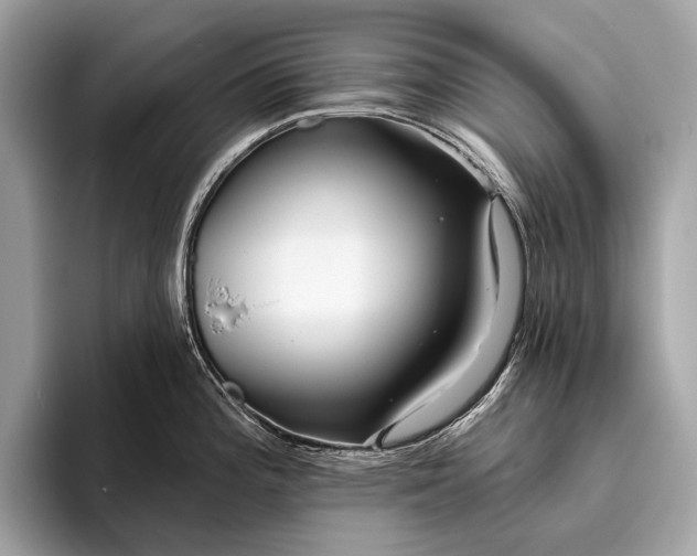 X0000095921196200801251023