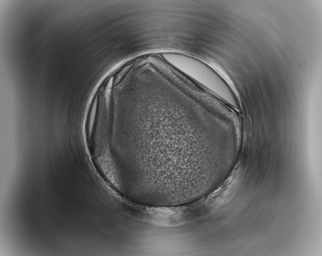 X0000095921197200801251023