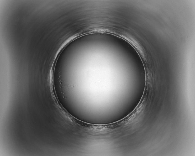 X0000095921198200801251023