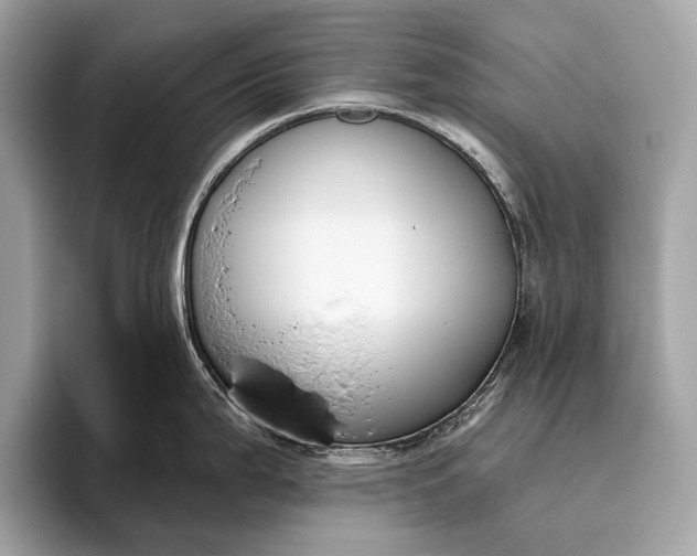 X0000095921199200801251023