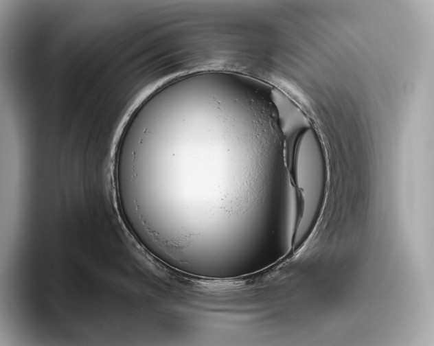 X0000095921200200801251023