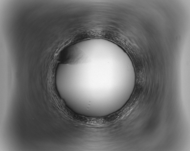 X0000095921201200801251023