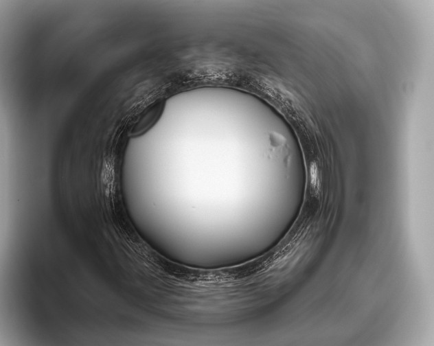 X0000095921203200801251023