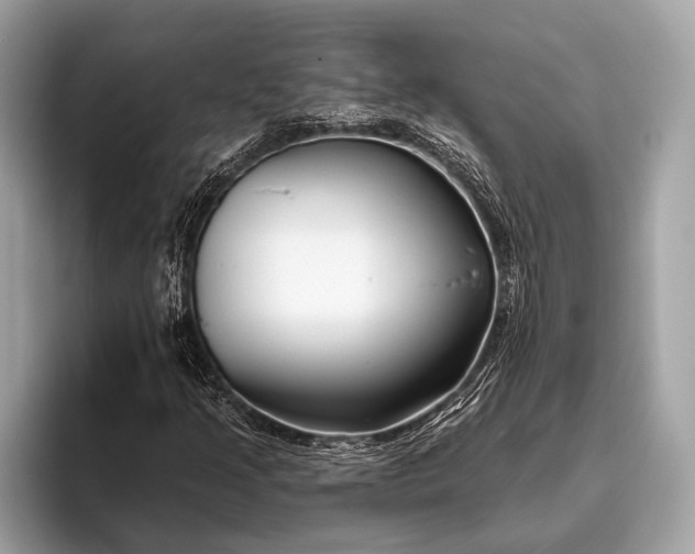 X0000095921205200801251023