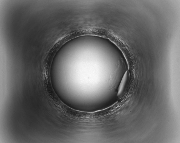 X0000095921206200801251023