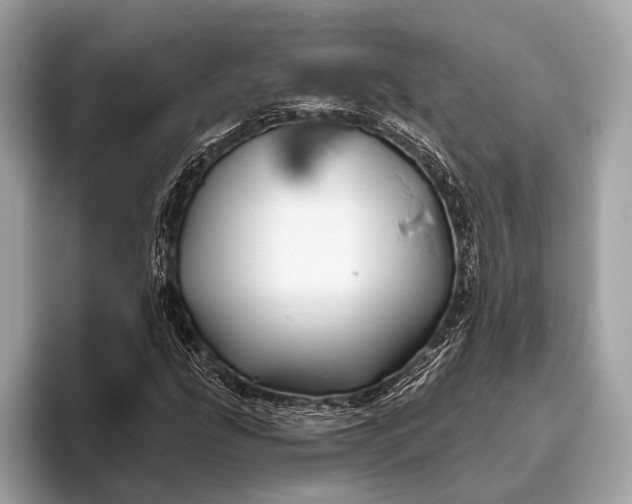 X0000095921207200801251023