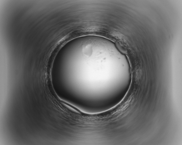 X0000095921210200801251023