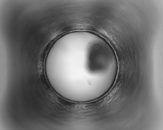 X0000095921211200801251023