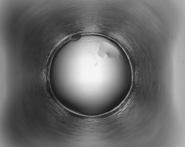 X0000095921212200801251023