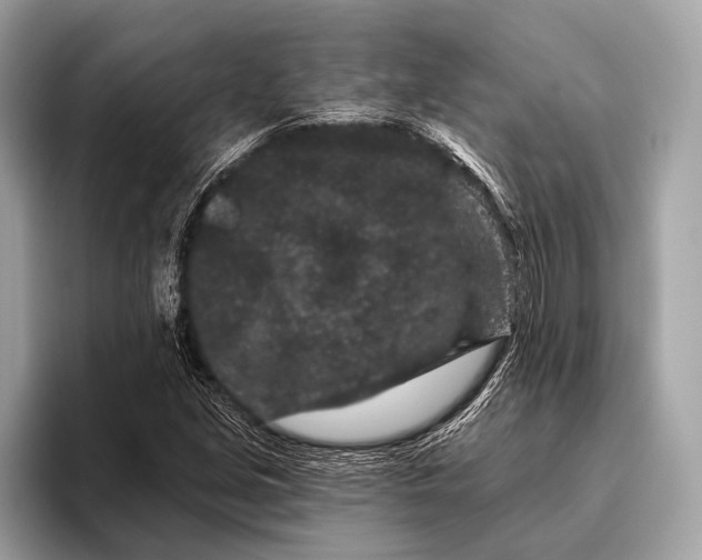 X0000095921213200801251023