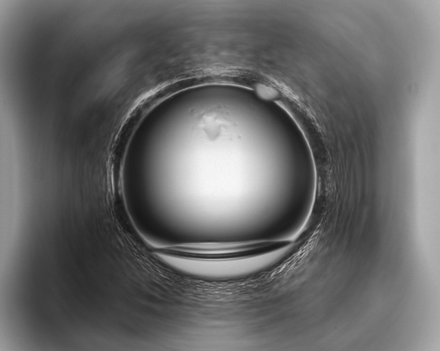 X0000095921214200801251023