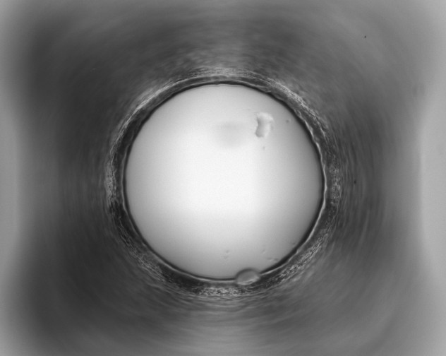 X0000095921215200801251023