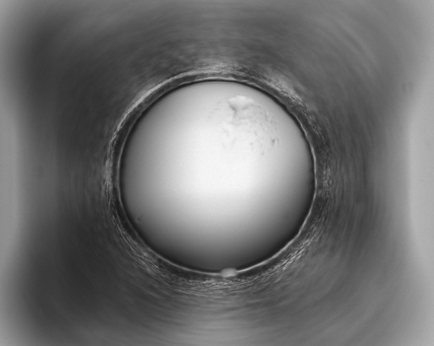 X0000095921216200801251023