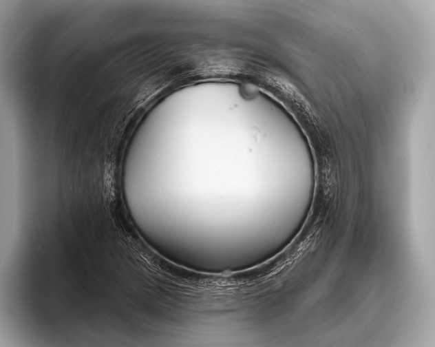 X0000095921217200801251023