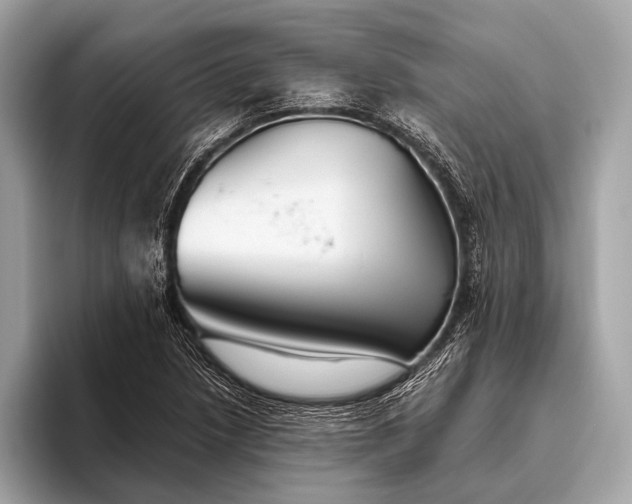 X0000095921218200801251023