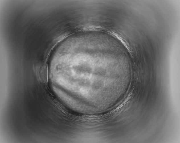 X0000095921219200801251023