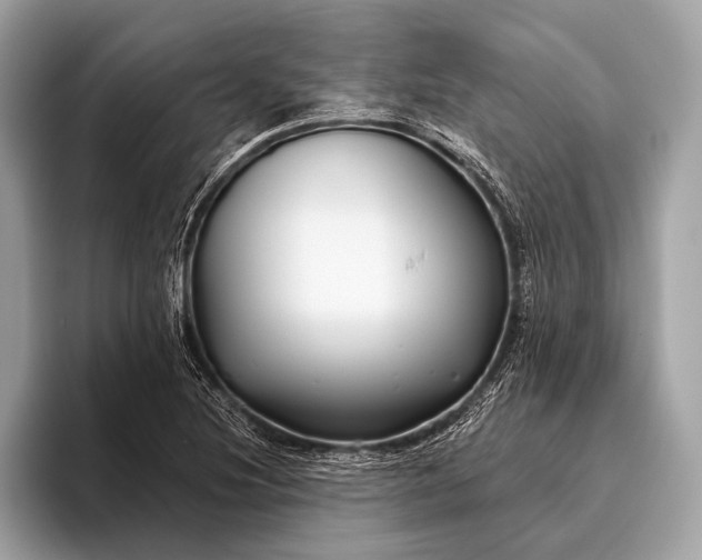 X0000095921220200801251023