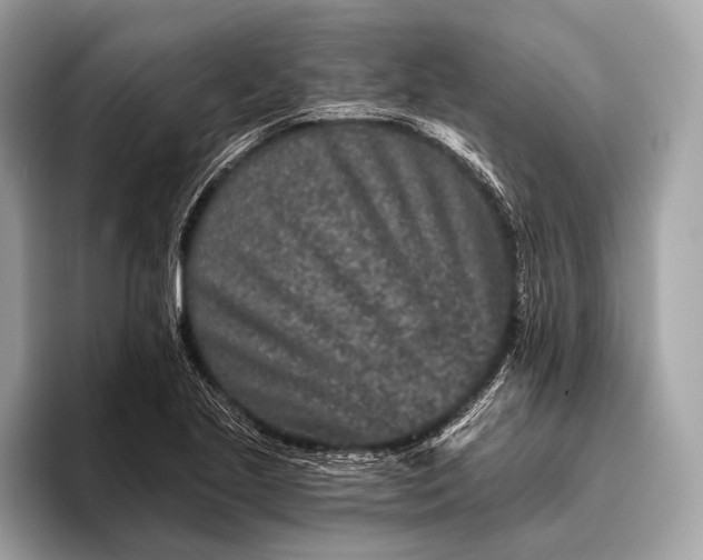 X0000095921221200801251023