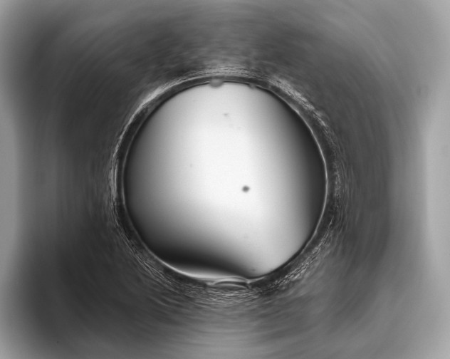 X0000095921222200801251023