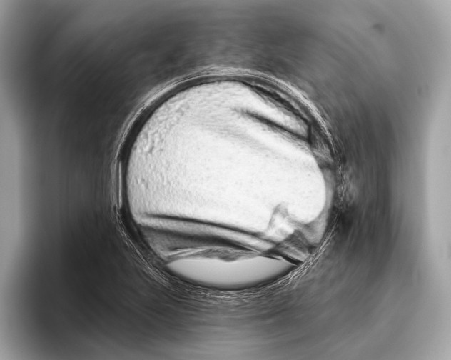 X0000095921223200801251023