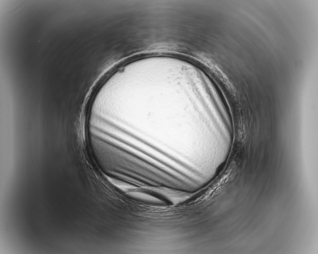 X0000095921224200801251023